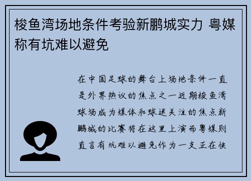 梭鱼湾场地条件考验新鹏城实力 粤媒称有坑难以避免